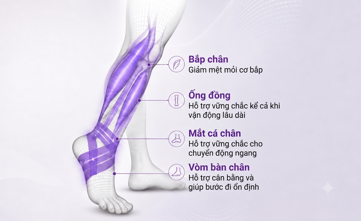 Vì sao cần hỗ trợ vòm bàn chân? Vai trò của cấu trúc vòm đối với sự thoải mái khi chơi golf